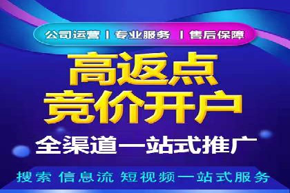 百度SEO推广公司案例汇编：实战优化策略全解析