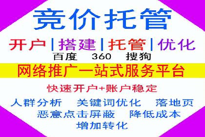 网络推广与竞价优化成功案例